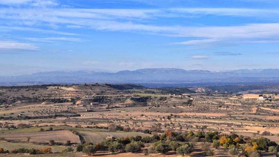 3 de Desembre de 2017 Paisatge  Granyena de Segarra -  Ramon Sunyer