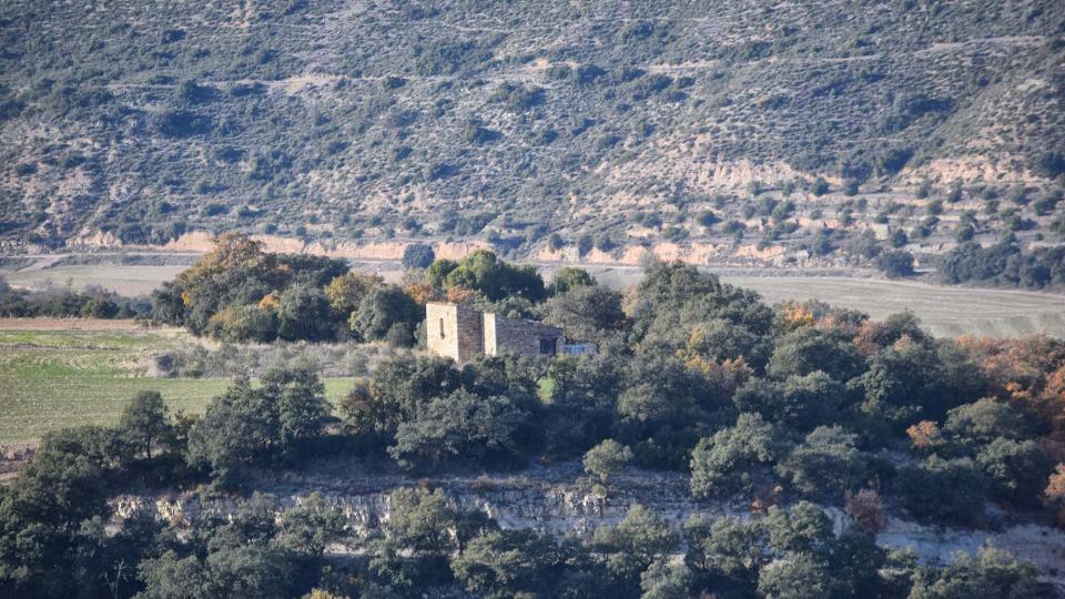 3 de Desembre de 2017 Paisatge  Granyena de Segarra -  Ramon Sunyer