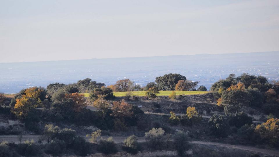 3.12.2017 Paisatge  Granyena de Segarra -  Ramon Sunyer