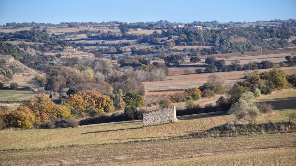 3 de Desembre de 2017 Paisatge  Granyena de Segarra -  Ramon Sunyer