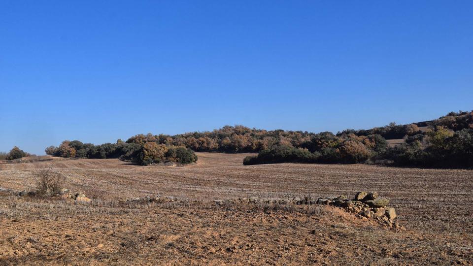 6 de Desembre de 2017   Les Cases de la Serra -  Ramon Sunyer