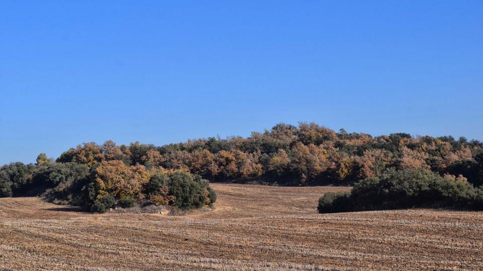 6.12.2017   Les Cases de la Serra -  Ramon Sunyer