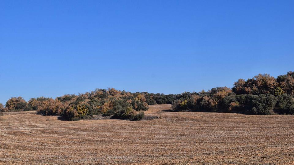 6 de Desembre de 2017   Les Cases de la Serra -  Ramon Sunyer