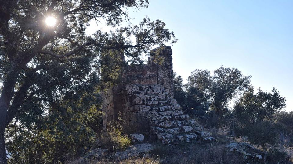 6 de Desembre de 2017 Cup de Mas Pujol  Les Cases de la Serra -  Ramon Sunyer