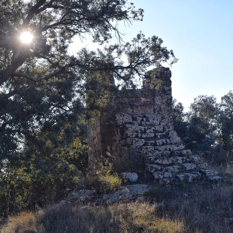 6.12.2017 Cup de Mas Pujol  Les Cases de la Serra -  Ramon Sunyer