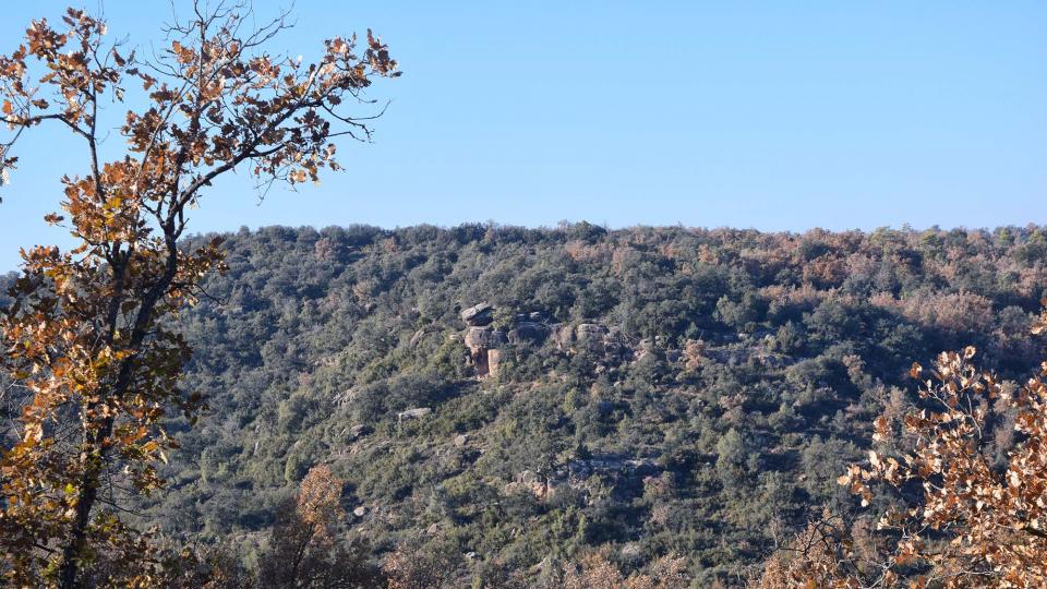 6 de Desembre de 2017   Les Cases de la Serra -  Ramon Sunyer