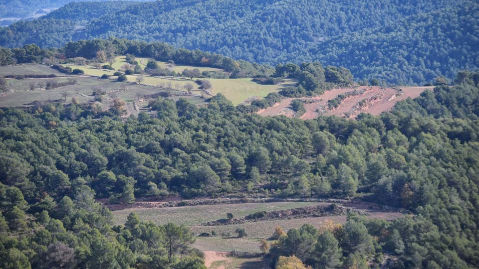 27.11.2017 paisatge de tardor  Argençola -  Ramon  Sunyer