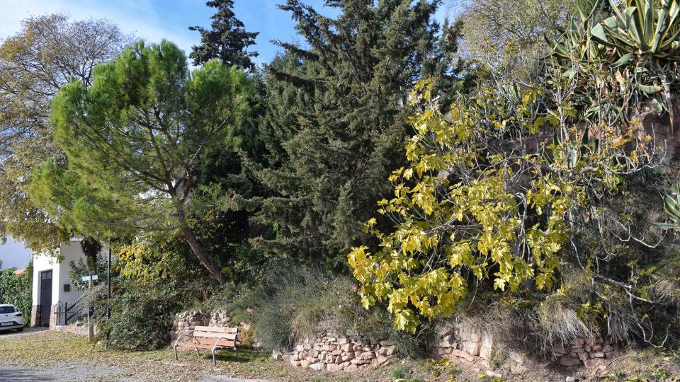27.11.2017 - Porquerisses - Ramon  Sunyer