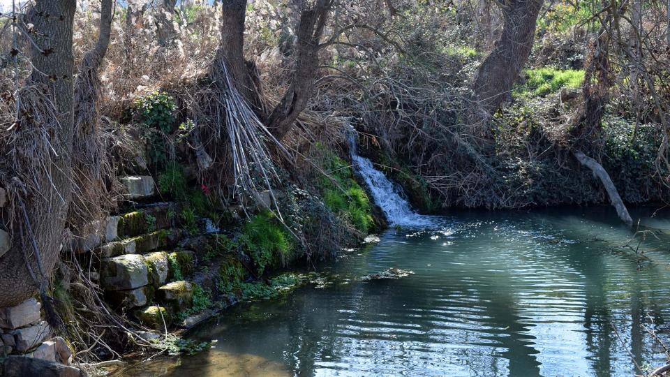 25 de Febrer de 2018 Peixera  La Prenyanosa -  Ramon Sunyer