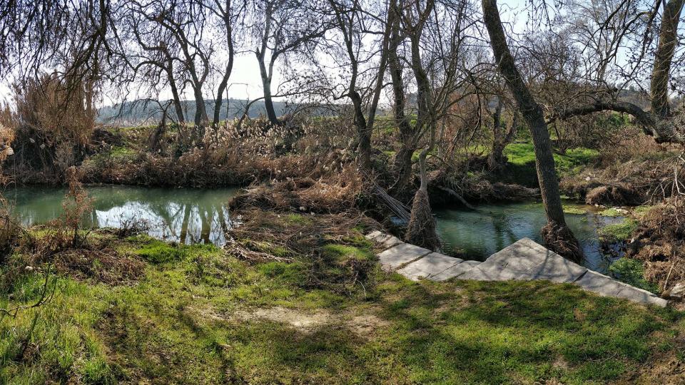 25 de Febrer de 2018 Peixera  La Prenyanosa -  Ramon Sunyer