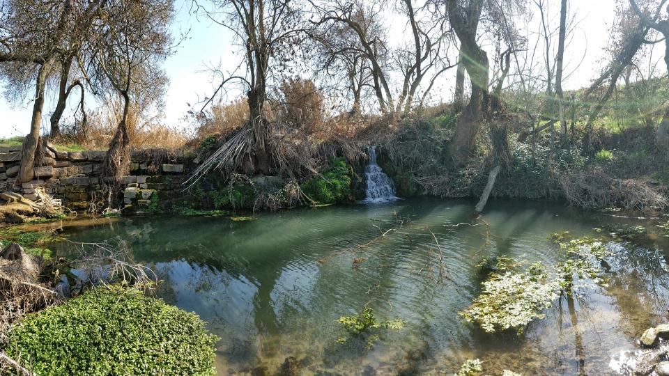 25 de Febrer de 2018 Peixera  La Prenyanosa -  Ramon Sunyer