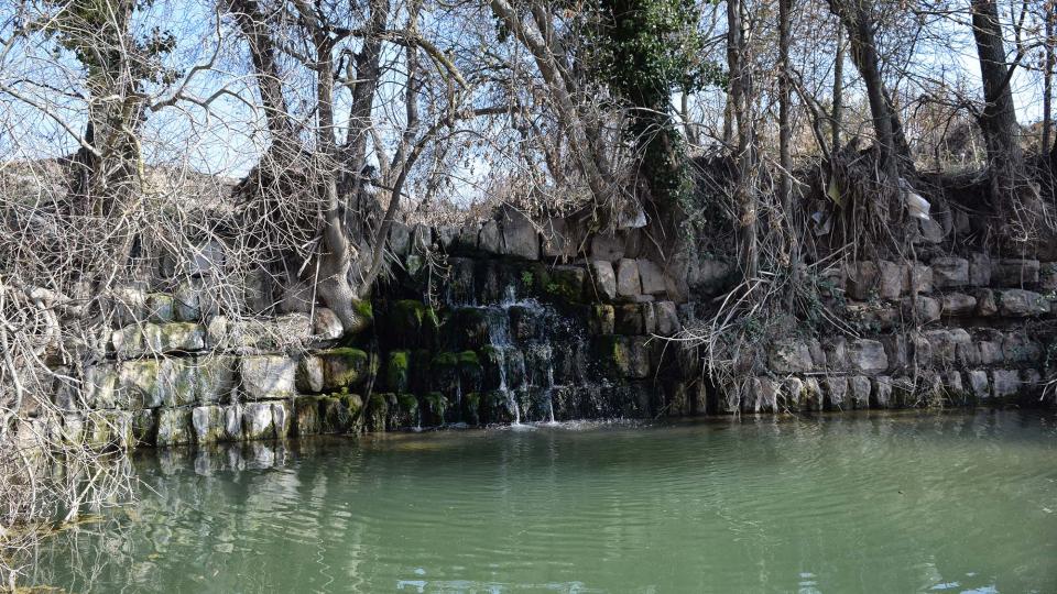 25.2.2018 Peixera  Sedó -  Ramon Sunyer