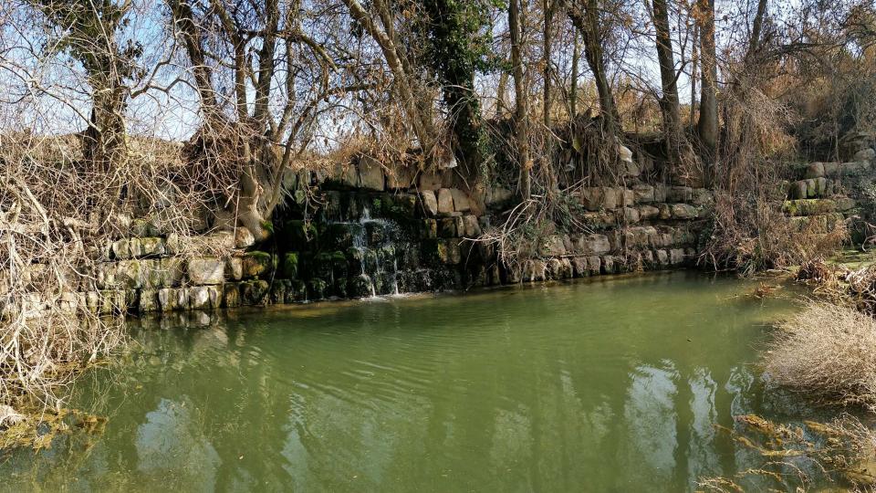 25 de Febrer de 2018 Peixera de Sedó al riu Sió  Sedó -  Ramon Sunyer