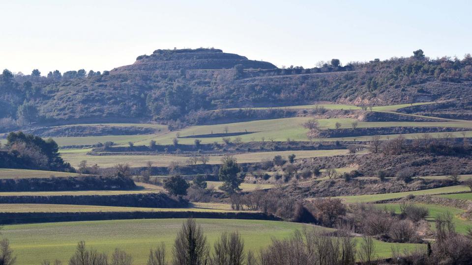 28.1.2018 Paisatge  Sant Pere dels Arquells -  Ramon Sunyer