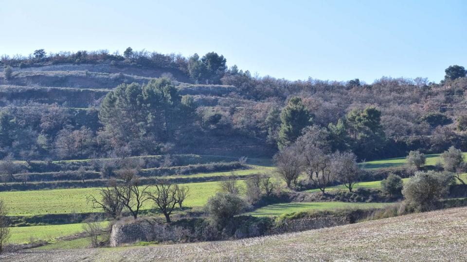 28.1.2018 Paisatge  Sant Pere dels Arquells -  Ramon Sunyer