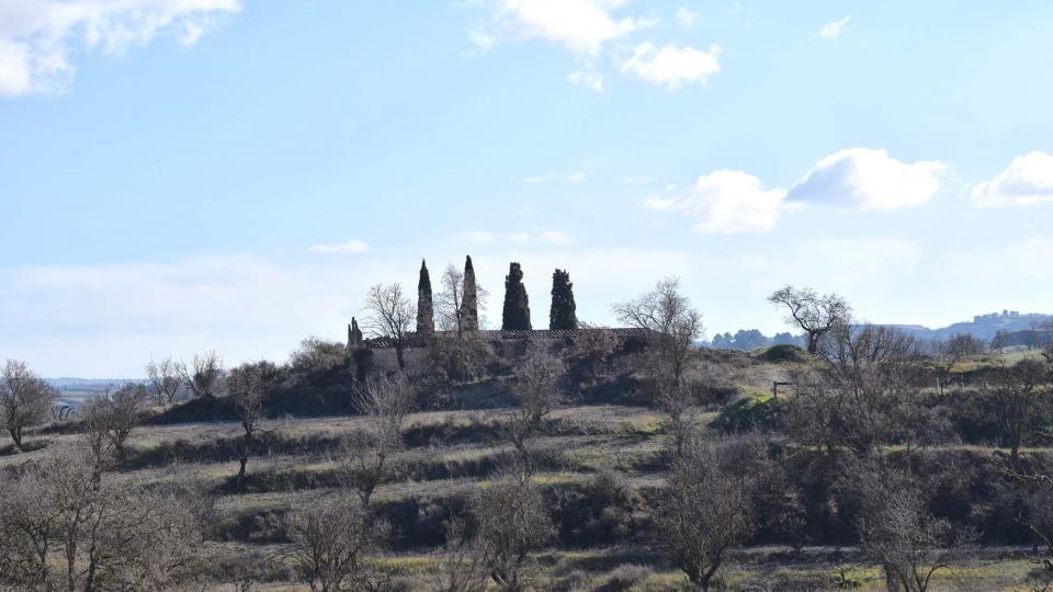 28.1.2018 Paisatge  Sant Pere dels Arquells -  Ramon Sunyer