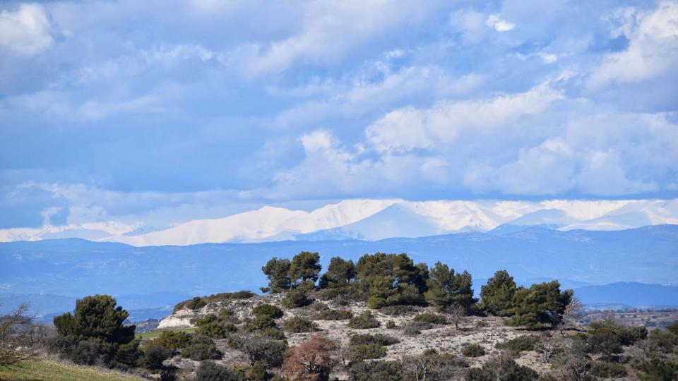 3.3.2018 paisatge  Sant Antolí i Vilanova -  Ramon Sunyer