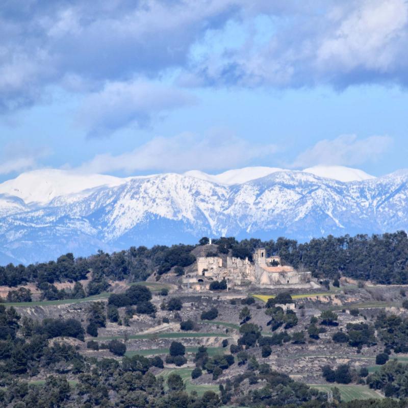 3.3.2018 paisatge  Sant Antolí i Vilanova -  Ramon Sunyer