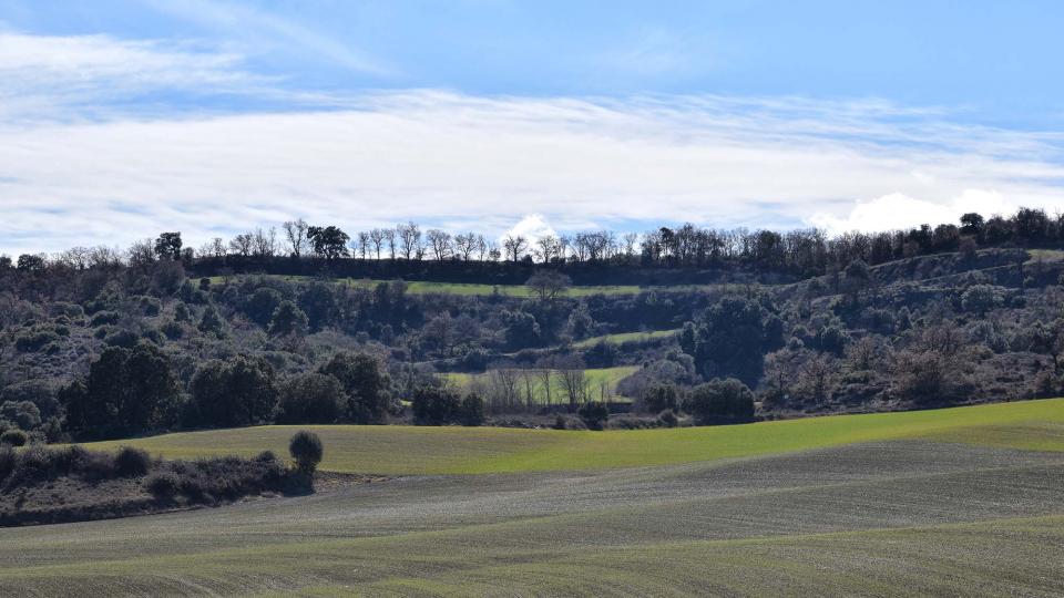 3.3.2018 paisatge  Sant Antolí i Vilanova -  Ramon Sunyer