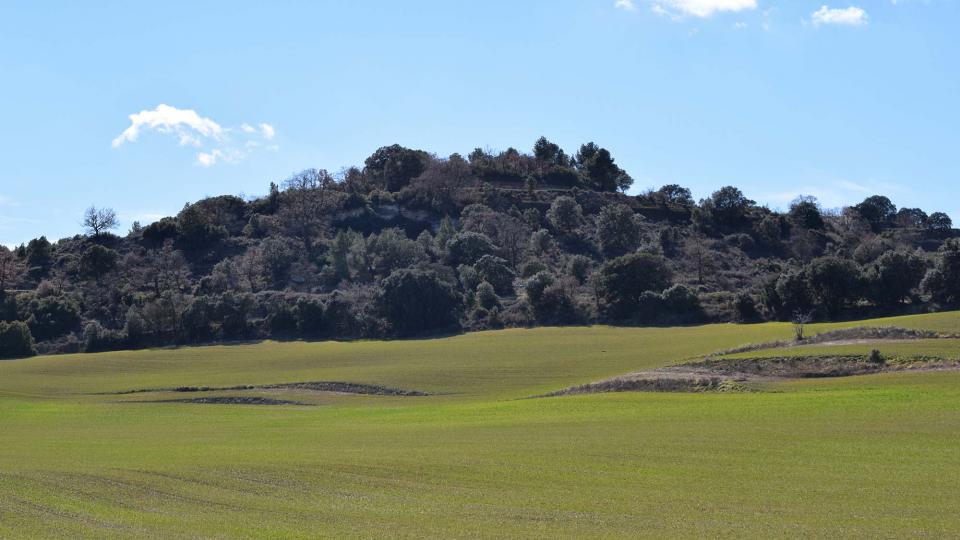 3.3.2018 Paisatge  Sant Antolí i Vilanova -  Ramon Sunyer