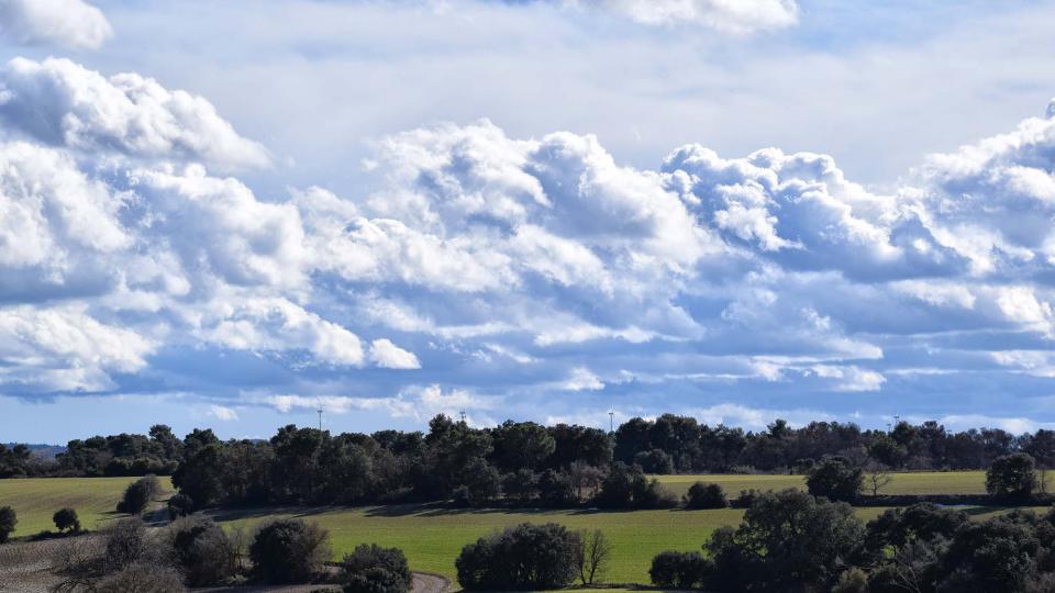 3.3.2018 Paisatge  Sant Antolí i Vilanova -  Ramon Sunyer