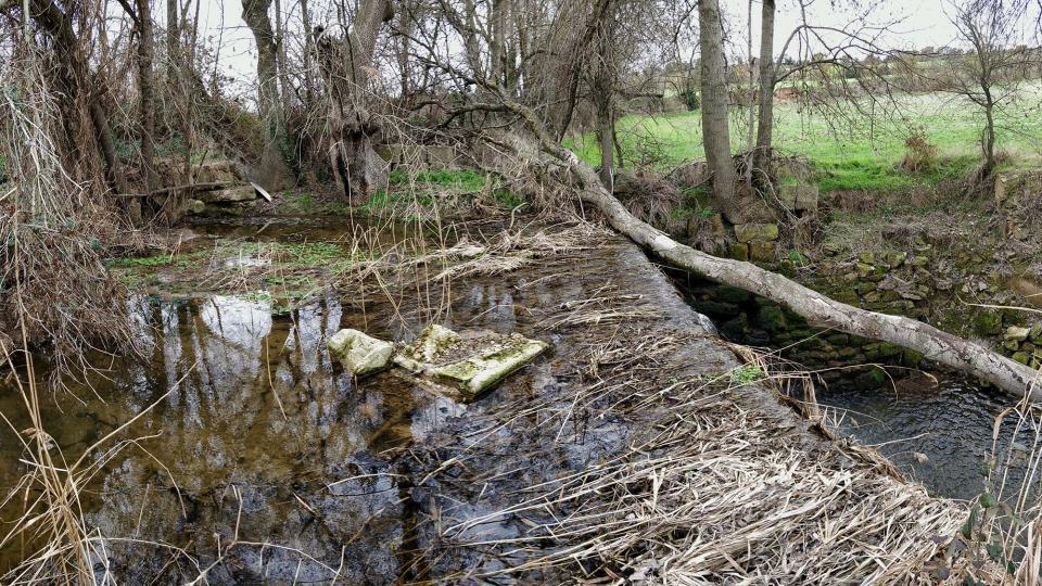 4 de Març de 2018 Peixera de la Puda al riu Sió  Concabella -  Ramon Sunyer