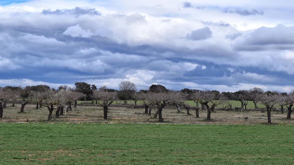 4 de Març de 2018 Paisatge  Els Plans de Sió -  Ramon Sunyer