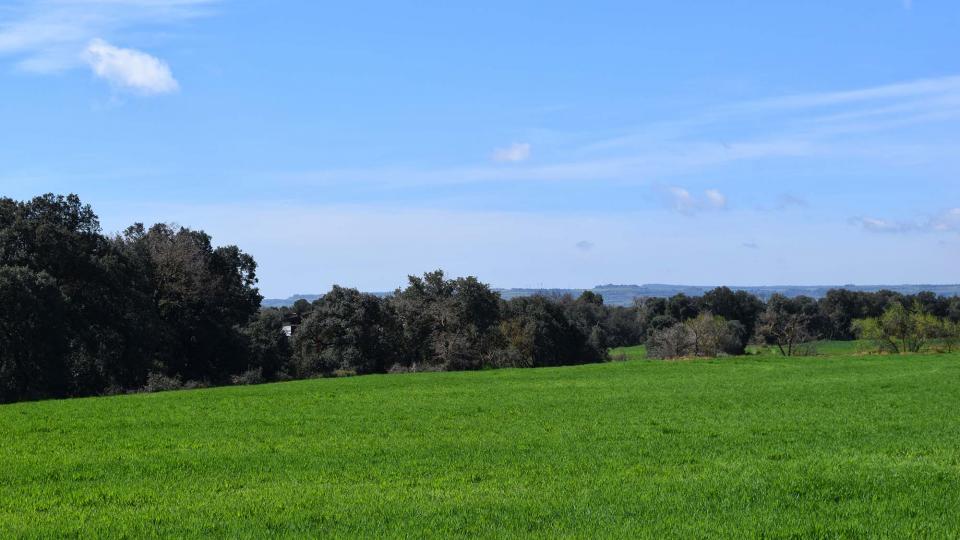 15 de Abril de 2018 paisatge  La Rabassa -  Ramon Sunyer