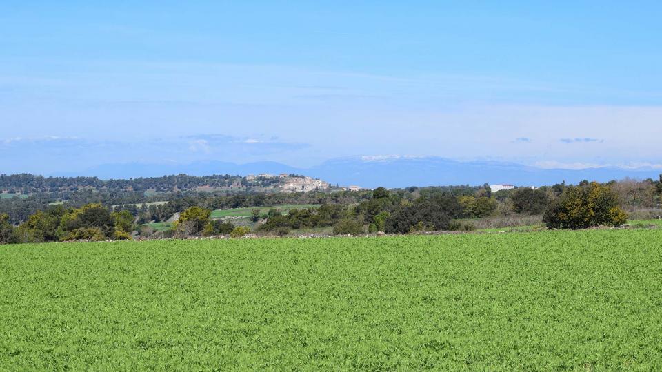 15.4.2018 paisatge  La Rabassa -  Ramon Sunyer