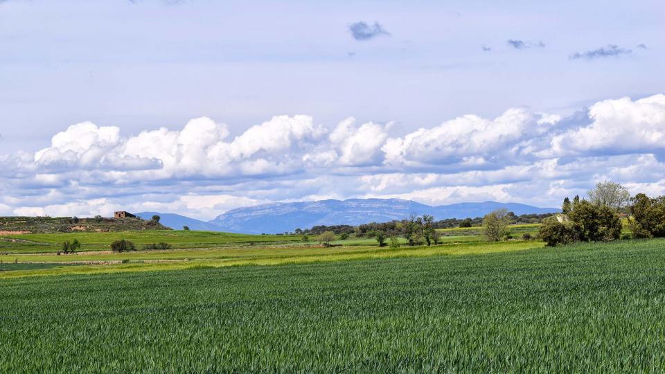 30.4.2018 Paisatge  Les Pallargues -  Ramon Sunyer