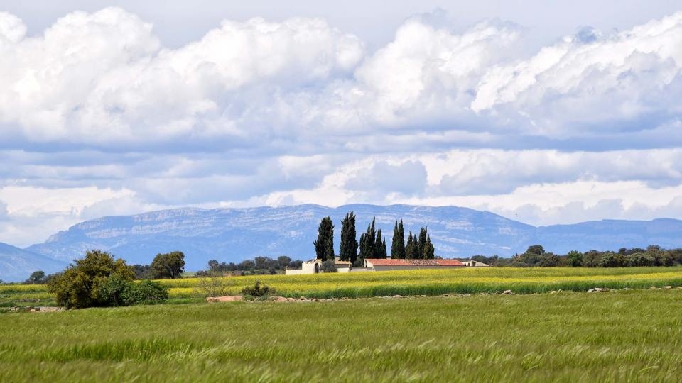 30.4.2018 cementiri  Les Pallargues -  Ramon Sunyer