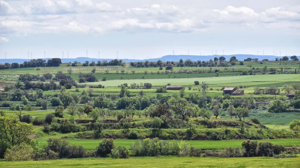 30 de Abril de 2018 Paisatge  Les Pallargues -  Ramon Sunyer