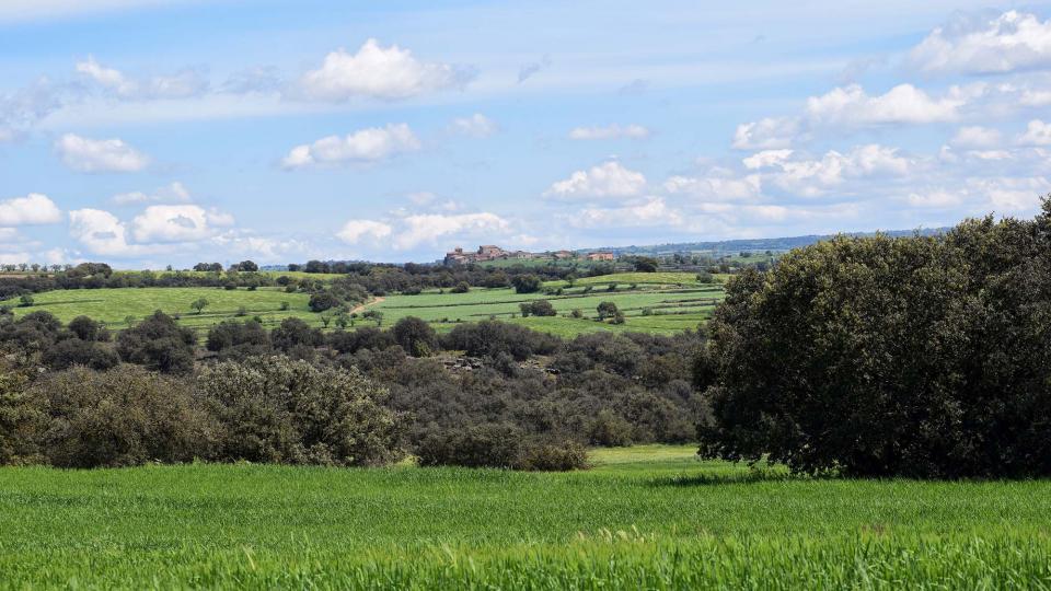 30 de Abril de 2018 Paisatge  Les Pallargues -  Ramon Sunyer