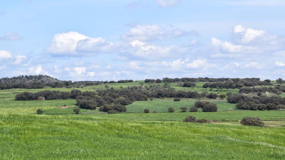 30 de Abril de 2018 Paisatge  Les Pallargues -  Ramon Sunyer