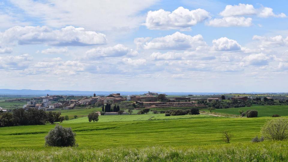 30 de Abril de 2018 Paisatge  Les Pallargues -  Ramon Sunyer