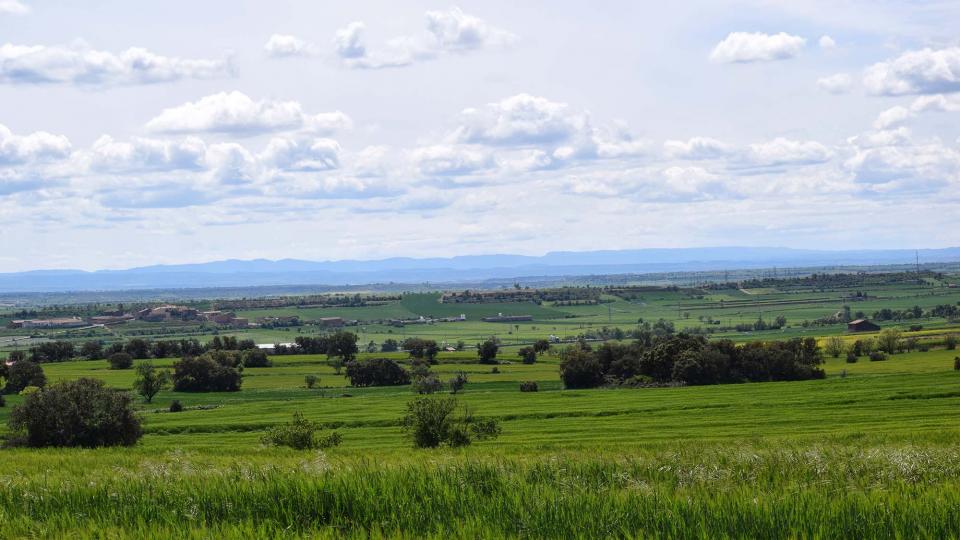 30 de Abril de 2018 Paisatge  Les Pallargues -  Ramon Sunyer