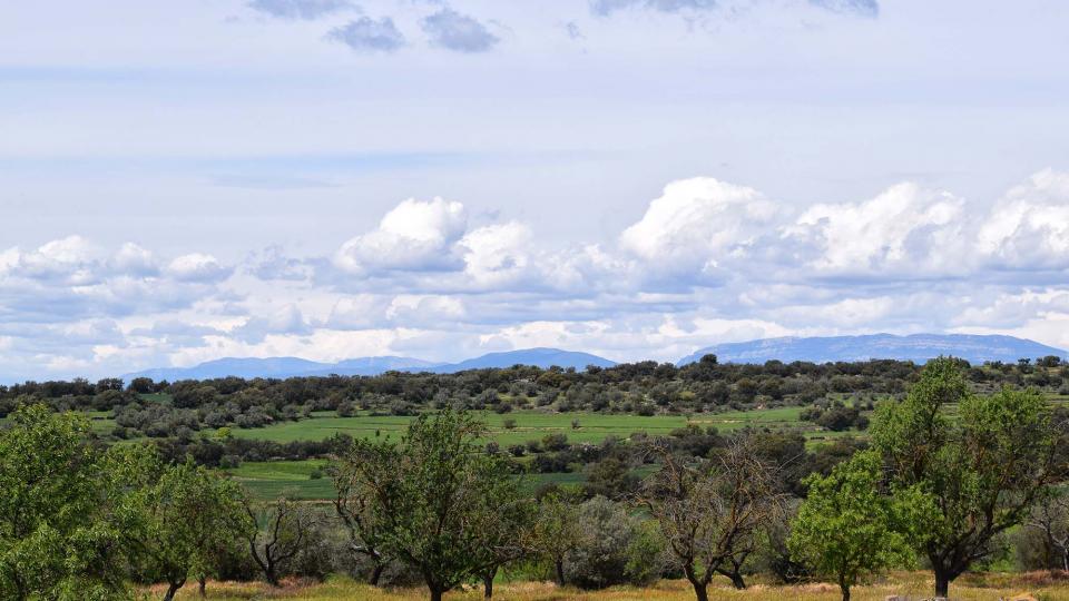 30 de Abril de 2018 Paisatge  Les Pallargues -  Ramon Sunyer