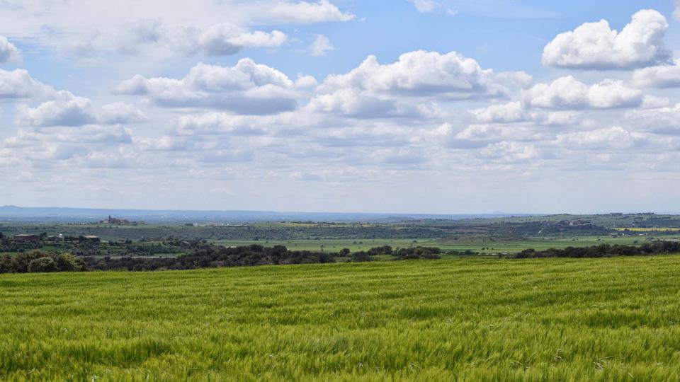 30 de Abril de 2018 Paisatge  Les Pallargues -  Ramon Sunyer