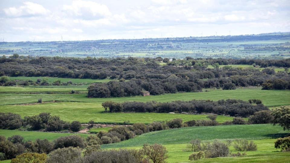 30 de Abril de 2018 Paisatge  Les Pallargues -  Ramon Sunyer