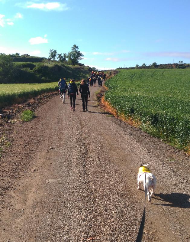 Sanaüja celebra la 'Caminada per la llibertat' -  Sanaüja celebra la 'Caminada per la llibertat' -