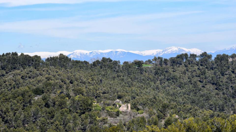 28.3.2018 - vista a la primavera - La Goda - Ramon  Sunyer