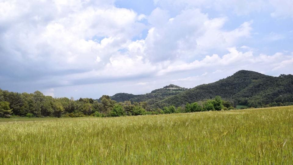 19.5.2018   Rocamora -  Ramon Sunyer