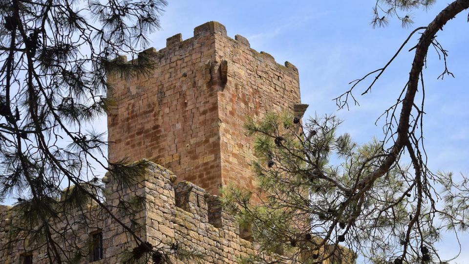 28 de Juliol de 2018 Castell de Les Sitges  Florejacs -  Ramon Sunyer