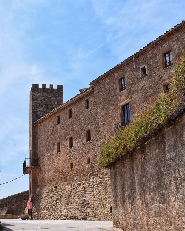 28.7.2018 castell  Florejacs -  Ramon Sunyer