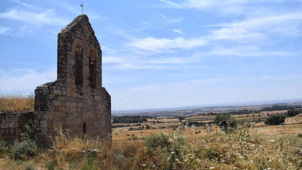 28.7.2018 Sant Pere de les Sitges  Florejacs -  Ramon Sunyer