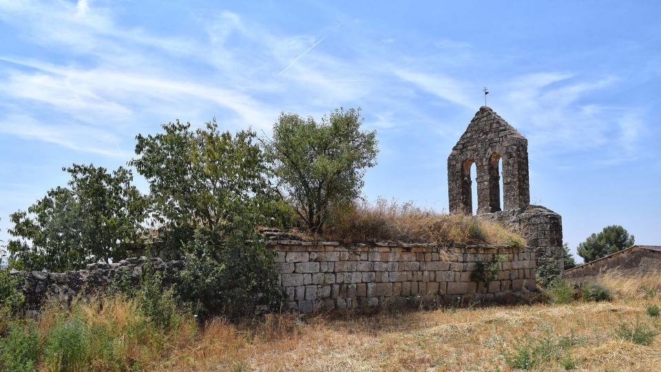 28.7.2018 Sant Pere de les Sitges  Florejacs -  Ramon Sunyer