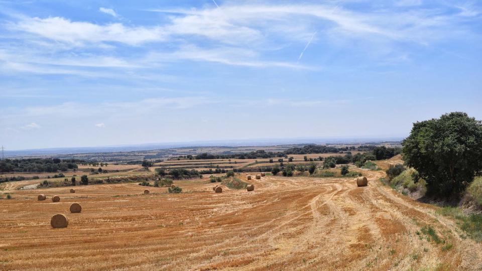 28 de Juliol de 2018 paisatge  Florejacs -  Ramon Sunyer