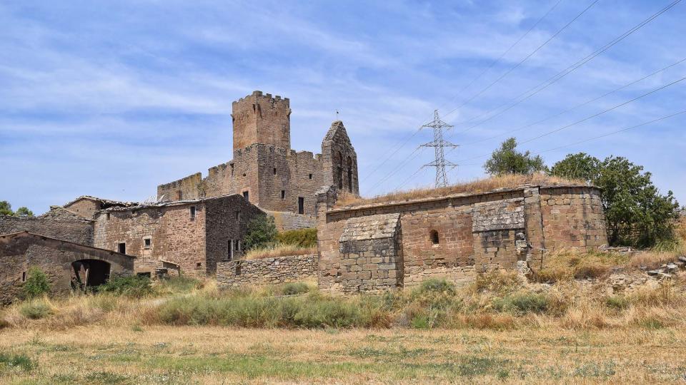 28.7.2018 Sant Pere de les Sitges  Florejacs -  Ramon Sunyer