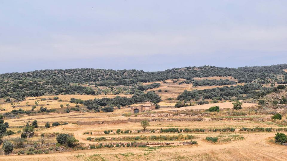 28.7.2018 paisatge  Florejacs -  Ramon Sunyer