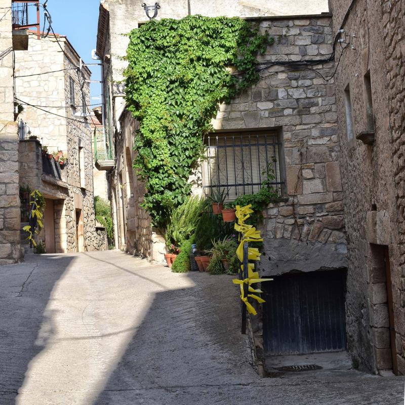 12.8.2018 Rocafort de Vallbona - Ramon Sunyer